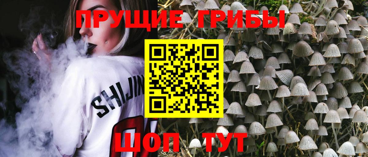 Казань  Галлюциногенные грибы Cubensis  Вход с VPN 