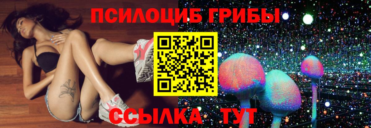 Галлюциногенные грибы Magic Shrooms Казань